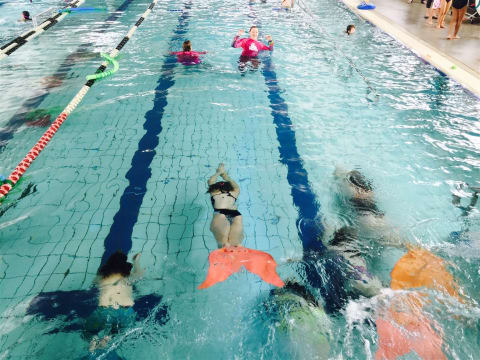 Unique business opportunity for a mermaid at heart