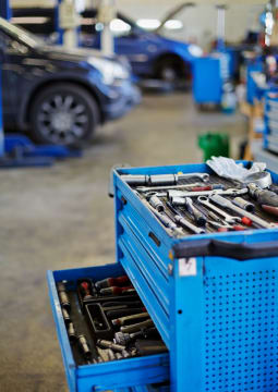 Cf8xgkzxqctmyncaphio