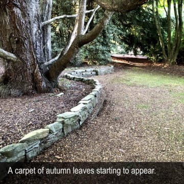 HERITAGE SEED BANK and OPEN GARDEN