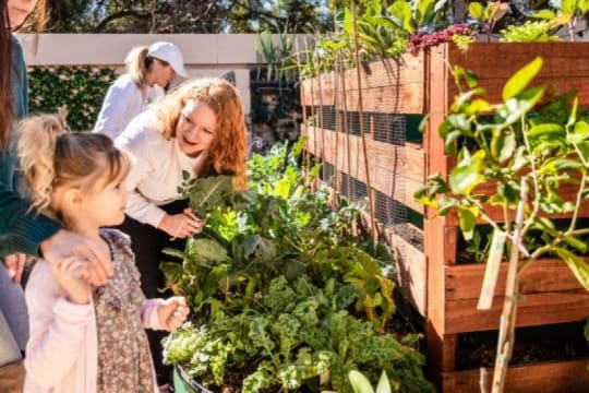 Leading Organic Gardening Business in Perth/Neerabup, WA
