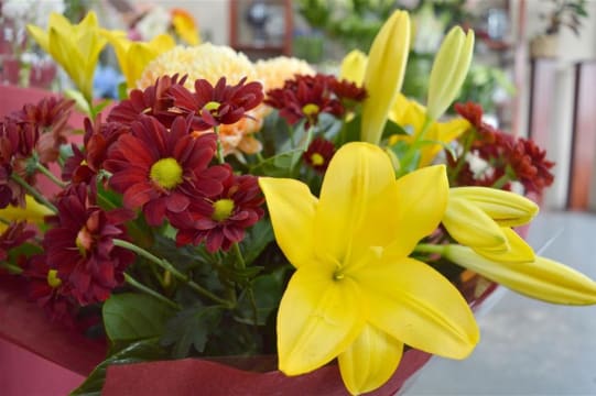 Established Florist Business For Sale, Malvern East