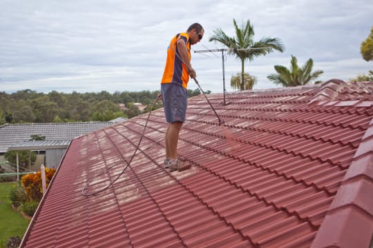 Amazing Earning Potential in Roof Cleaning and Painting