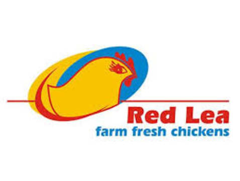 RED LEA CHICKEN SHOP – LIVERPOOL AREA - 00924.