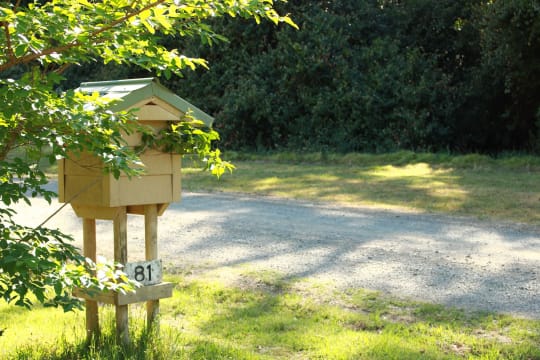 Sustainable Hazelnut & Agritourism Business Opportunity