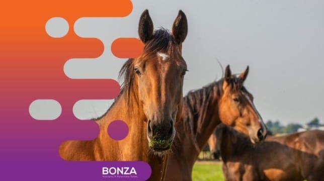 Cmyzkfvschii8rysqei7