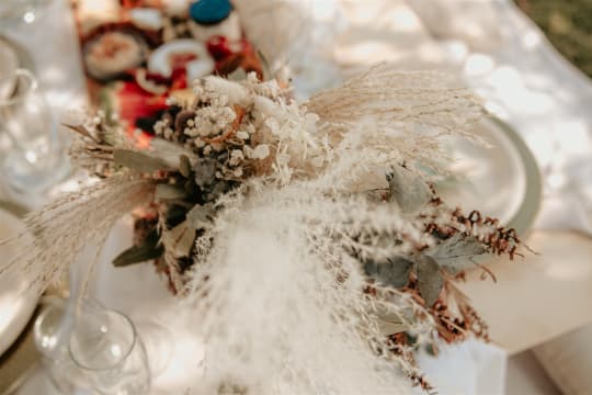 THE LATIN BITE EVERYTHING GRAZING PICNICS CELEBRATORY EVENTS