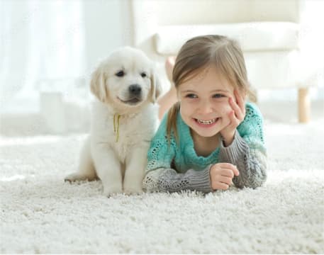 Established Home Furnishing Business in Sydney