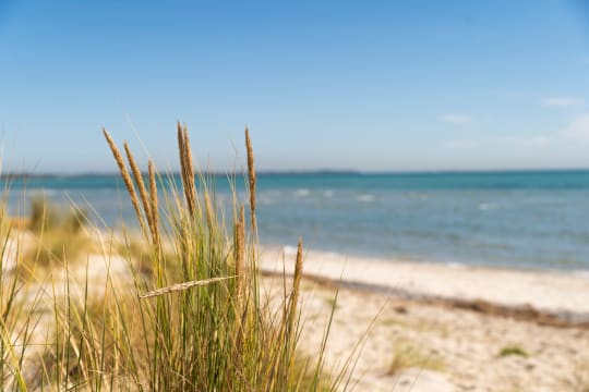 Calling all Pizza Lovers to the HOT MORNINGTON PENINSULA BEACH AREA IN RYE