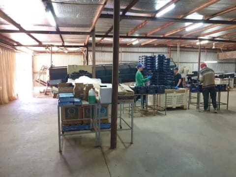 Horticulture Business & 58 Acre Asset | $1.5M+ Capability | Walk-In Walk-Out