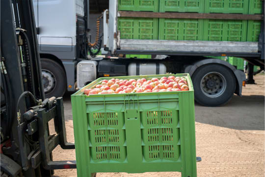 Premium Fresh Produce Wholesale & Retail – Two Distinct Businesses for Sale