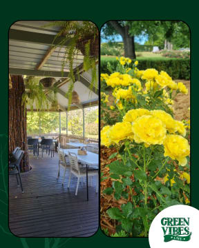 GREEN VIBES CAFE - DURAL 100+ Seatings, Profitable Business for sale