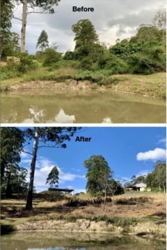 Profitable Eco Vegetation Management Business, Northern NSW