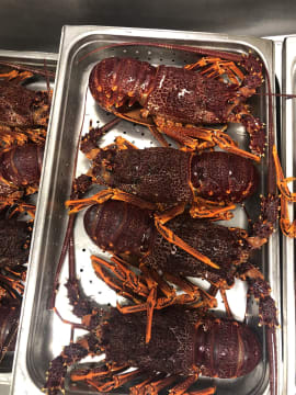 Well established restaurant