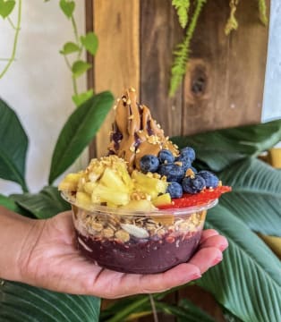 Established Acai Bar – Port Douglas | Fully Fitted | Motivated Sale