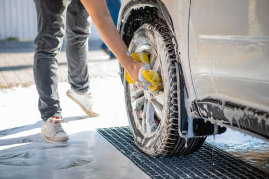 Cyk9c1myynee7glmyip2