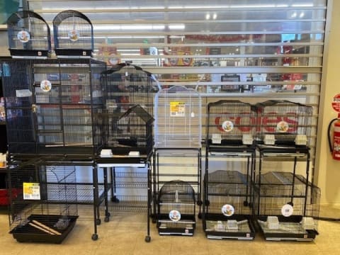 Northam's Only Pet Store For Sale