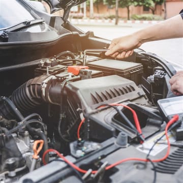 Czqgxnqe89padbz6ppje