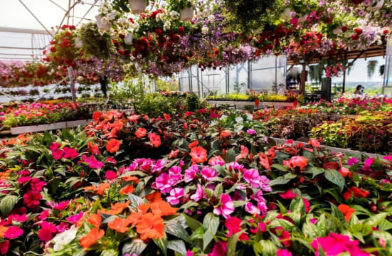 Established Garden Centre and Landscape Supplies with Significant Growth Potential