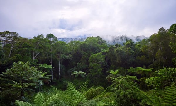 ROSE GUMS WILDERNESS RETREAT - 2893MF