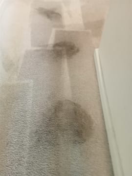 URGENT SALE- Profitable Owner-Operator Carpet Cleaning Business Growth Potential