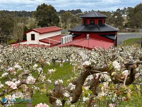 Thriving Regional Bakery Cafe - VICTORIA