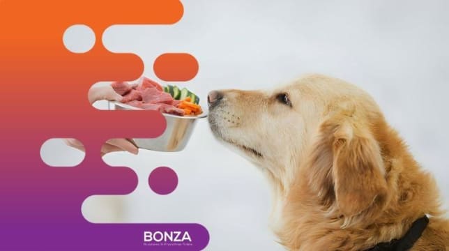 35027 - UNDER OFFER - Thriving Pet Food Retailer - Niche Market Presence