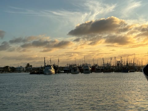 Mixed Management Rights for Sale in Surfers Paradise with 2.00 Multiplier - ID 9167