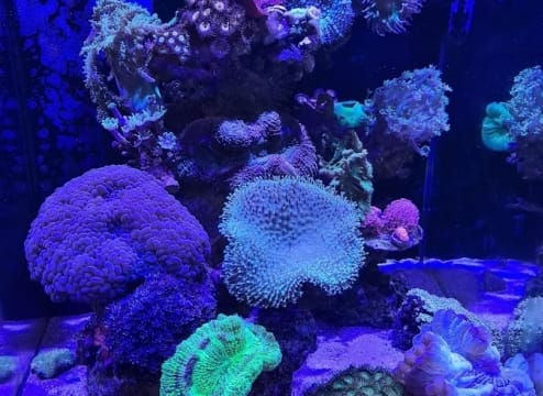 Dlhrojfve4x0c04o2vjj