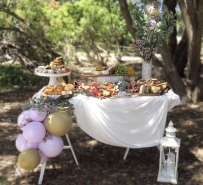 THE LATIN BITE EVERYTHING GRAZING PICNICS CELEBRATORY EVENTS