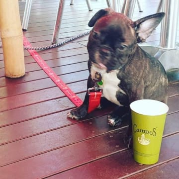 Iconic, Seaside Cafe in Paradise