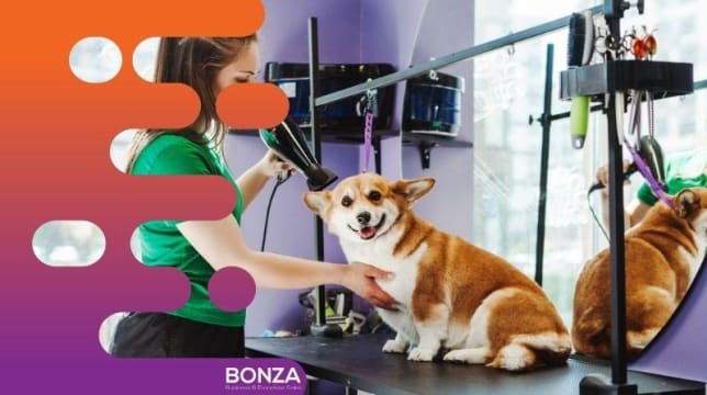 36635 Profitable Mobile Dog Grooming Business - Open To Offers