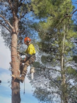Dynamic Woodsman of Waikerie - A Rare Opportunity - Expressions of Interest