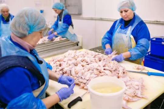 Fresh Meat Processing & Distribution Business
