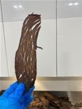 Established Jerky Business, well-positioned for massive growth