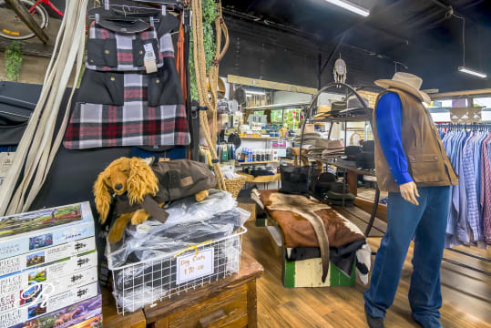 Dsbgipu3n3grdbnxe8t4