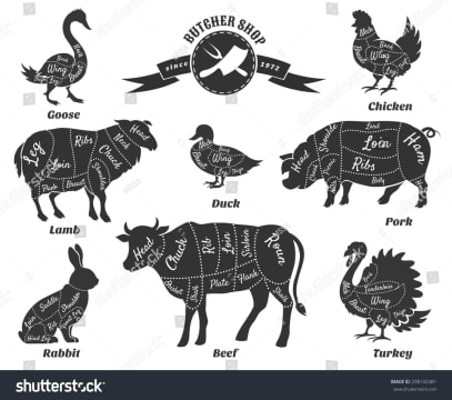 Dsoseh1jjc943mmn6olp