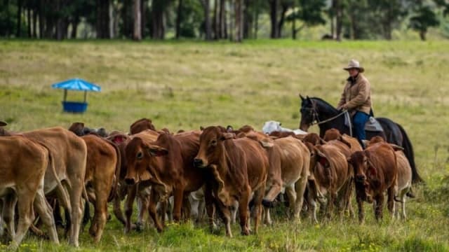 Agriculture, Recreation and Luxe Accommodation Development Opportunity