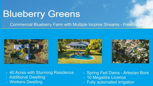 Blueberry Greens Award-Winning Farm + Freehold Lifestyle Property