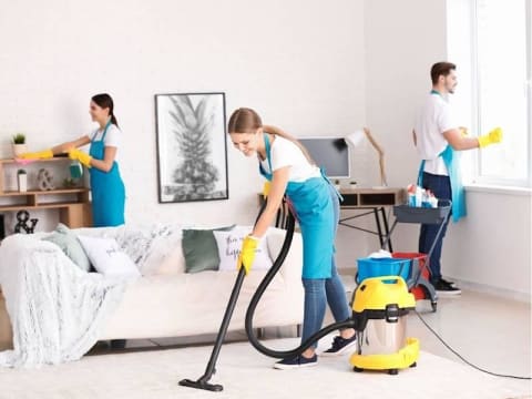 Growing Cleaning Business with 250+ Active Clients