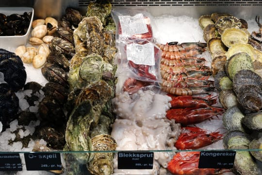 Seafood Retail Business – Heidelberg [2609251]