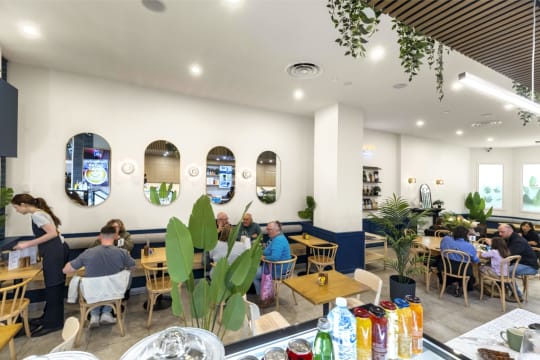 PRICE REDUCED - BLUE SPARROW COFFEE – SOUTHLAND