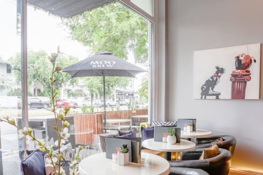 UNDER CONTRACT - The Tipsy Cow