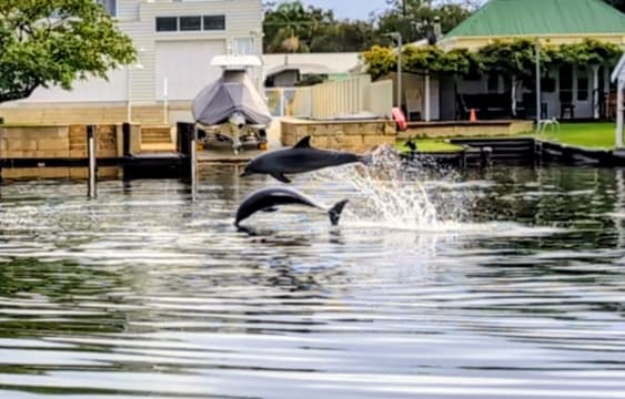 Waterfront Licensed Café  – Freehold & Business Opportunity