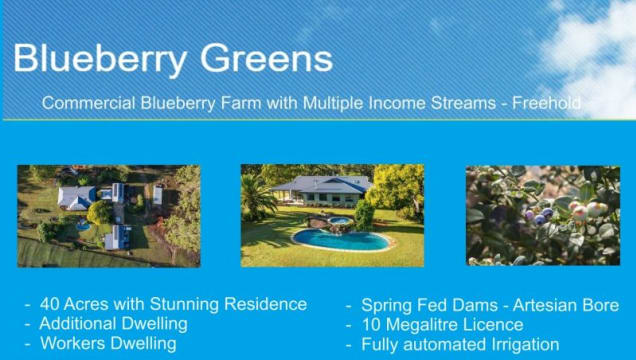 Blueberry Greens Award-Winning Farm + Freehold Lifestyle Property