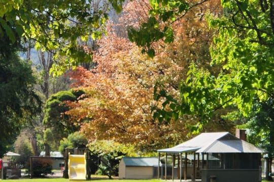 Harrietville Caravan Park - Established leasehold caravan park at the foot of the Victorian Alps