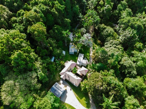 Daintree Rainforest Luxe Eco Lodge For Sale