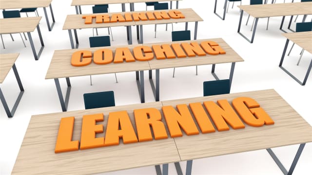 Leading Financial Services Mentoring Business