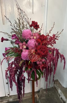 Oakleighs Iconic Florist Nursery Business for Sale SV1585