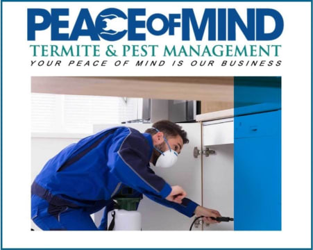 Established Termite & Pest Management Business Flexible, Mobile Operation. WIWO