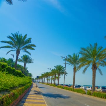 Edjk4dwp9cakjijfkqvs